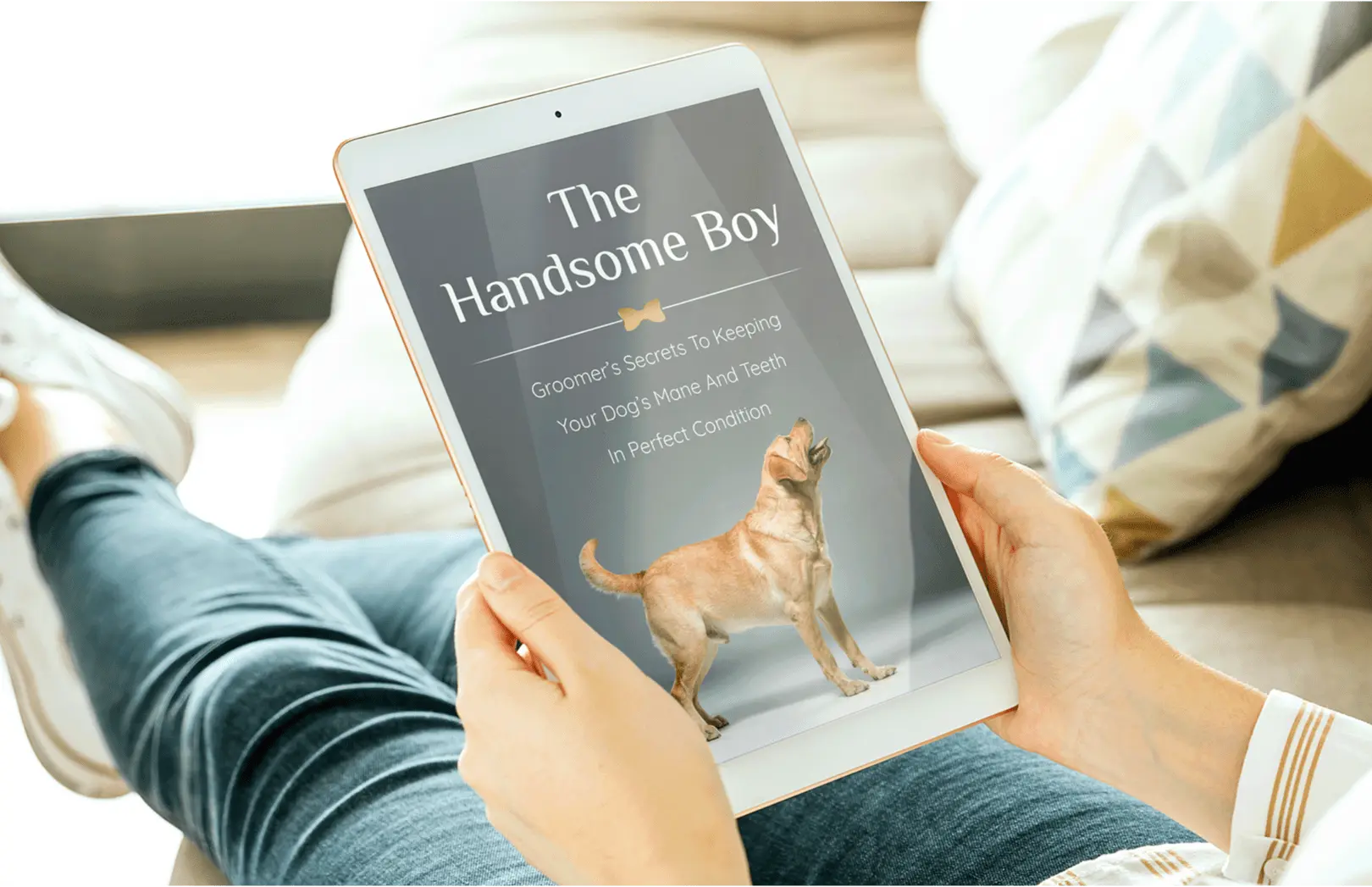 Dog Grooming Secrets