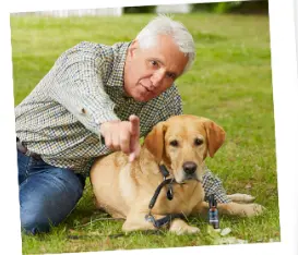 UltraK9 Pro Review Digestion